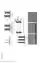 Fig. 10 - Composition comprising of a conducting polymer for detecting, capturing, releasing, and collecting cell