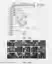 Fig. 18 - DOT1 histone methyltransferases as a target for identifying therapeutic agents for leukemia