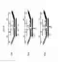 Fig. 09 - Chimeric Oligonucleotides for Ligation-Enhanced Nucleic Acid Detection, Methods and Compositions Therefor