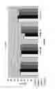 Fig. 30 - Chimeric Oligonucleotides for Ligation-Enhanced Nucleic Acid Detection, Methods and Compositions Therefor