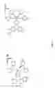 Fig. 02 - Methods for the enrichment of mutated nucleic acid from a mixture