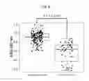 Fig. 07 - METHOD FOR DETECTING CANCER, AND ANTIBODY CAPABLE OF RECOGNIZING PANCREATIC RIBONUCLEASE 1