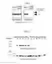 Fig. 09 - METHOD FOR DETECTING CANCER, AND ANTIBODY CAPABLE OF RECOGNIZING PANCREATIC RIBONUCLEASE 1