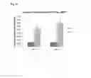Fig. 08 - Microtiter plates for controlled release of culture components to cell cultures