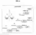 Fig. 05 - METHOD OF TESTING SAMPLE AND MICROFLUIDIC DEVICE