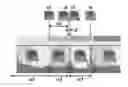 Fig. 01 - EMBRYO QUALITY ASSESSMENT BASED ON BLASTOCYST DEVELOPMENT