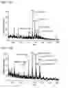 Fig. 33 - Mass spectrometry analysis of microorganisms in samples