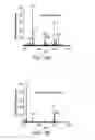 Fig. 37 - Mass spectrometry analysis of microorganisms in samples