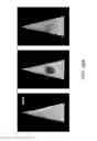 Fig. 47 - Mass spectrometry analysis of microorganisms in samples