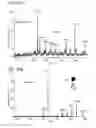 Fig. 53 - Mass spectrometry analysis of microorganisms in samples