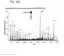 Fig. 60 - Mass spectrometry analysis of microorganisms in samples