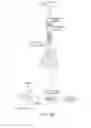 Fig. 68 - Mass spectrometry analysis of microorganisms in samples