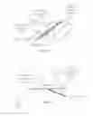 Fig. 16 - Cryo-preparation systems and methods for near-instantaneous vitrification of biological samples