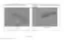 Fig. 07 - Clearing agent and mounting medium for microscopy