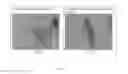 Fig. 10 - Clearing agent and mounting medium for microscopy