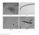 Fig. 15 - Clearing agent and mounting medium for microscopy