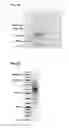 Fig. 07 - 5′ protection dependent amplification