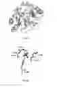 Fig. 05 - MALONATE DECARBOXYLASES FOR INDUSTRIAL APPLICATIONS