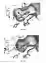 Fig. 07 - MALONATE DECARBOXYLASES FOR INDUSTRIAL APPLICATIONS