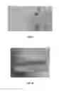 Fig. 09 - MALONATE DECARBOXYLASES FOR INDUSTRIAL APPLICATIONS