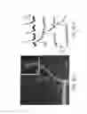 Fig. 08 - Coatings of semiconductor quantum dots for improved visibility of electrodes and pipettes