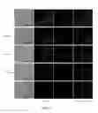 Fig. 08 - High-throughput image-based chemical screening in zebrafish blastomere cell culture
