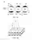 Fig. 06 - Apparatus for providing information on a top section of a portable radio