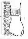 Fig. 09 - Methods and systems for locating persons and places with mobile devices