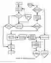 Fig. 04 - Gamification and computerization of on-line photo identification
