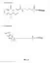 Fig. 09 - Method for generating aptamers with improved off-rates