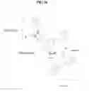Fig. 33 - Method for generating aptamers with improved off-rates