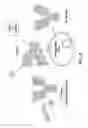 Fig. 03 - Surface anchored light chain bait antibody display system