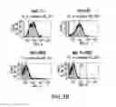 Fig. 05 - Surface anchored light chain bait antibody display system