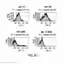 Fig. 06 - Surface anchored light chain bait antibody display system
