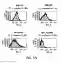 Fig. 07 - Surface anchored light chain bait antibody display system