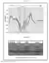 Fig. 07 - Multiplex target detection assay