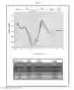 Fig. 09 - Multiplex target detection assay