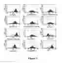 Fig. 03 - BIOLUMINESCENCE IMAGING-BASED SCREENING ASSAY AND INHIBITORS OF ABCG2