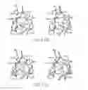 Fig. 13 - Fibroblast growth factor mutants having improved functional half-life and methods of their use