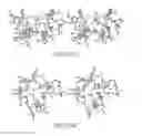 Fig. 22 - Fibroblast growth factor mutants having improved functional half-life and methods of their use