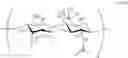 Fig. 08 - Deuterium-enriched hyaluronan