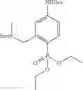 Fig. 162 - Macrocyclic factor VIIa inhibitors