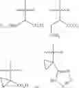 Fig. 19 - Macrocyclic factor VIIa inhibitors