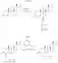 Fig. 11 - SUBSTITUTED ANDROST-4-ENE DIONES