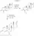 Fig. 12 - SUBSTITUTED ANDROST-4-ENE DIONES
