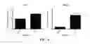 Fig. 04 - Methods for Inhibiting or Reversing Epiretinal Membrane Formation