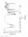Fig. 09 - 2-((R)-2-methylpyrrolidin-2-yl)-1H-benzimidazole-4-carboxamide crystalline form 1
