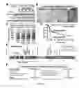 Fig. 05 - COMPOSITIONS AND METHODS FOR DIAGNOSIS AND THERAPY OF DISORDERS RELATED TO ALTERATIONS OF MYH9