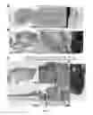 Fig. 10 - COMPOSITIONS AND METHODS FOR DIAGNOSIS AND THERAPY OF DISORDERS RELATED TO ALTERATIONS OF MYH9