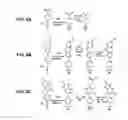 Fig. 07 - Method to fabricate functionalized conical nanopores